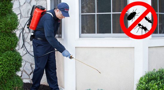 Kartal Gümüşkurt İlaçlama böcek ilaçlama ve haşere kontrolü — ilaclama-tr.com